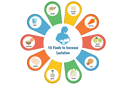 Breast Milk Increasing Foods: Indian Diet Chart For Lactating Mothers